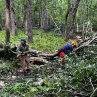 Trail in the woods blocked by fallen tree and two men working to clear the trail.