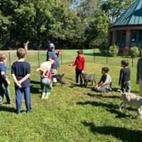 children, goats, and goatkeepers on a grassy lawn