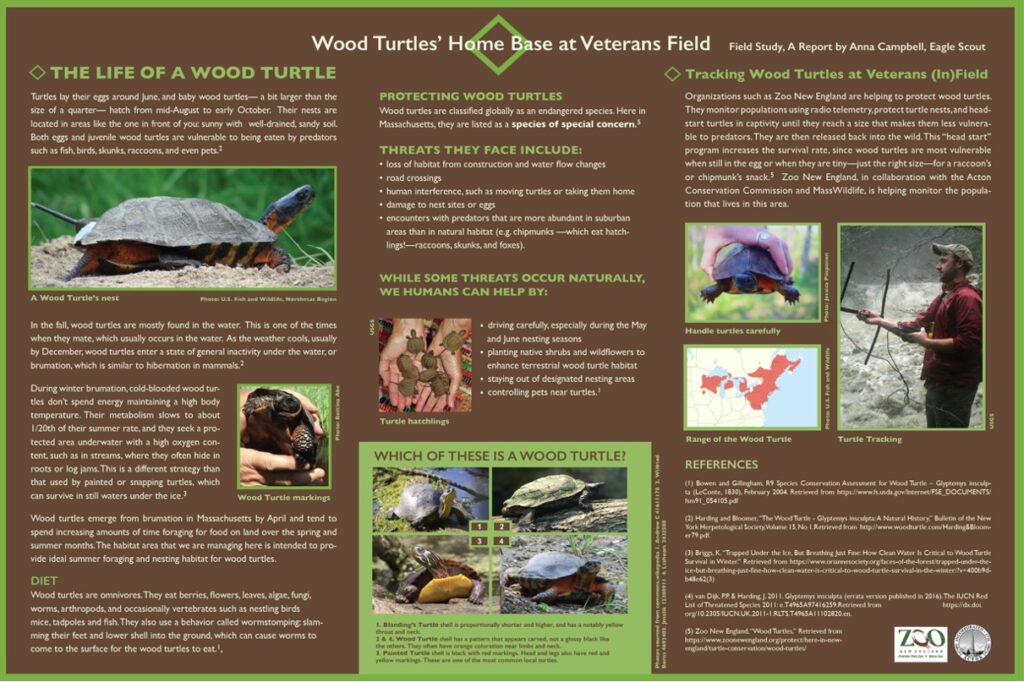 Poster describing Anna Campbell’s Eagle Scout project on Wood Turtles at Veterans’ Field.