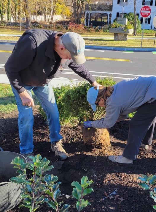 Street in background. Two people bend over, planting a shrub.