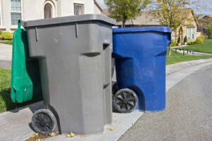 Two trash bins await pickup off a residential street.