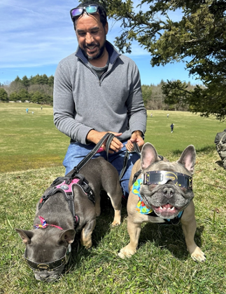 French Bulldogs Moon and Blue