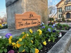 A cheery flowerbed with a wooden sign that says "Planted and maintained by the Acton Garden Club."