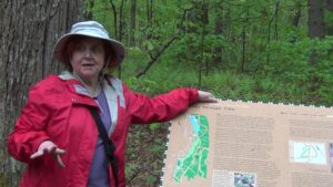 A woman wearing a red raincoat and a floppy hat stands with her hand on a Trail Through Time signboard on a forest trail.