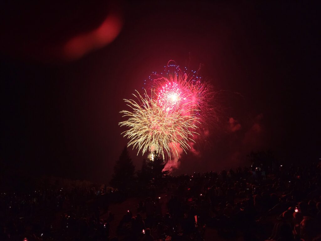 Red and gold fireworks light the sky at NARA park.