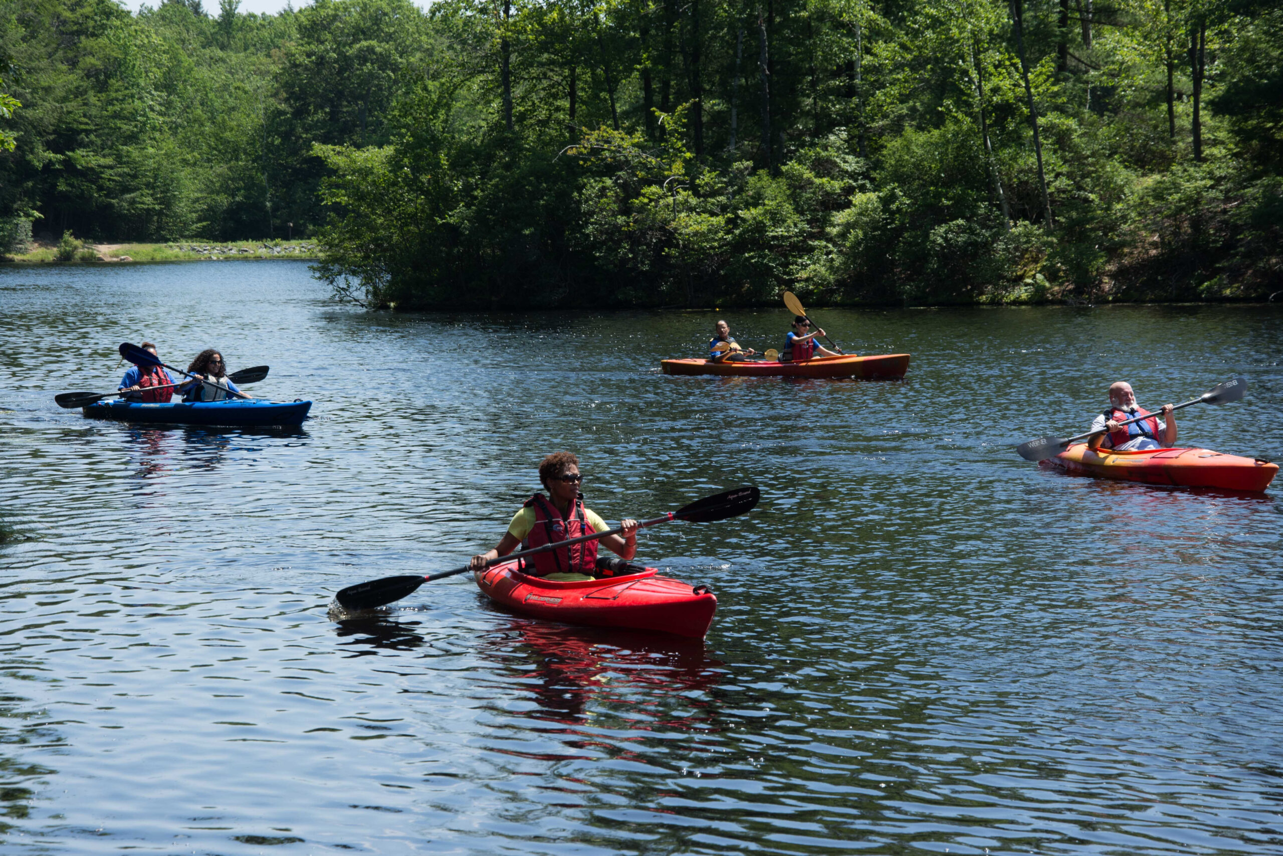 Four kayaks (and six kayakers) on a sunny pond.