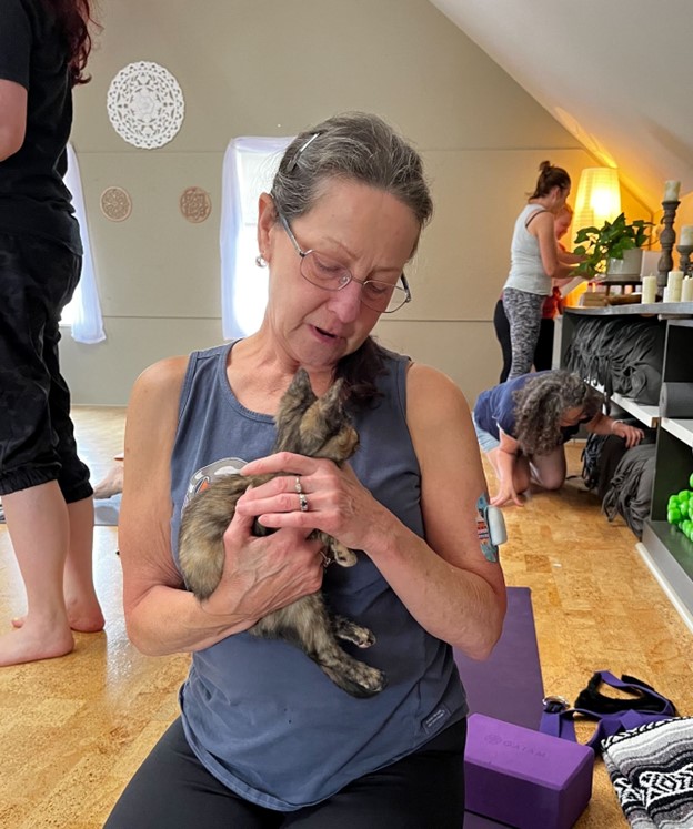 A woman in yoga gear cuddles yet another adorable kitten.