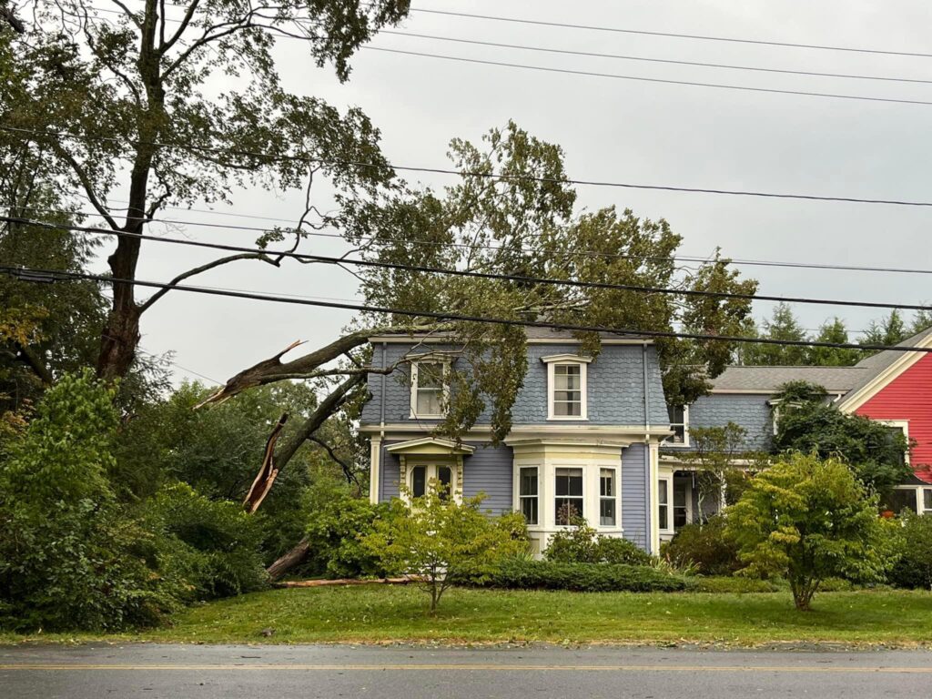 A large broken tree leans on the roof of a light purple house.