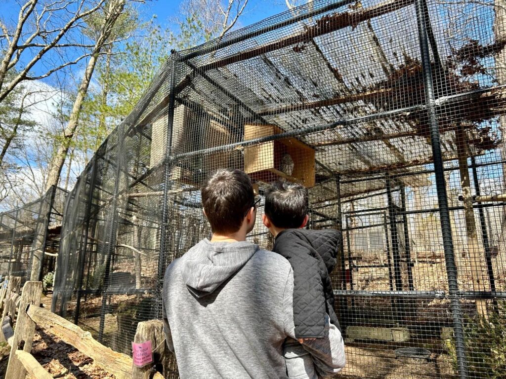 A dad wearing a gray sweatshirt holds a child wearing a black parka in front of a very large cage.