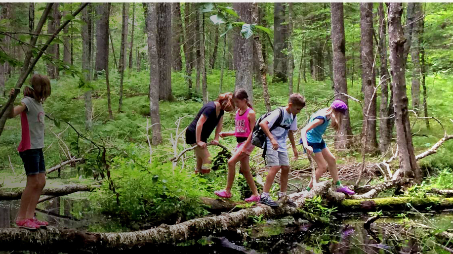 Children crossing a mossy log out in the woods.