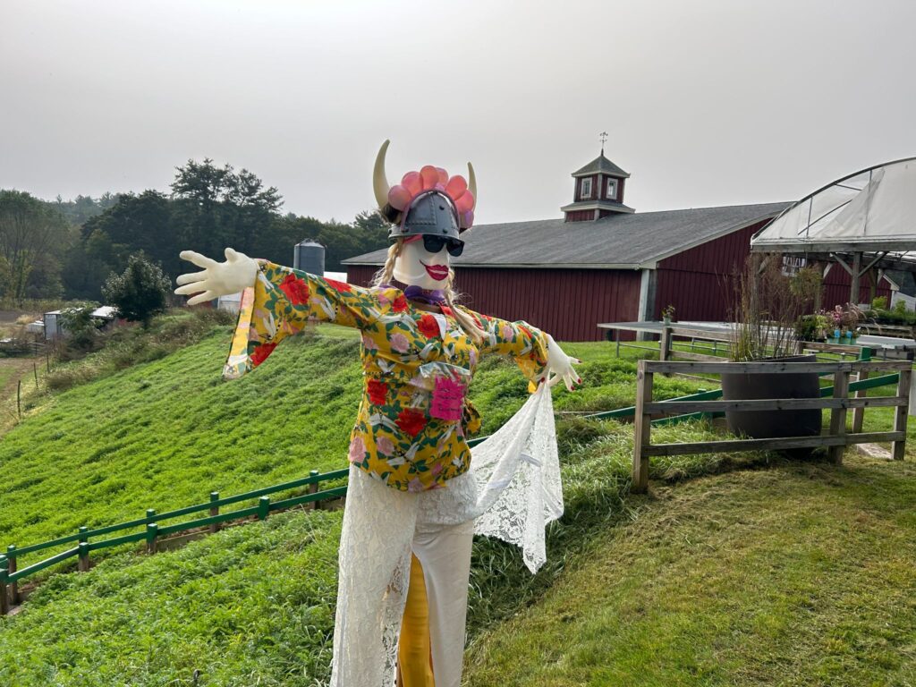 A feminine scarecrow with big red lipstick lips, sunglasses, and a floral frock holds a lace cloth with a red farm barn in the background.