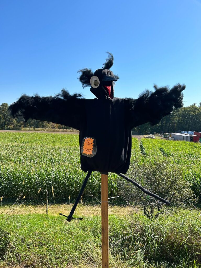 A dark fuzzy upper torso with a googly eye and stick legs against a green farm field and blue sky.