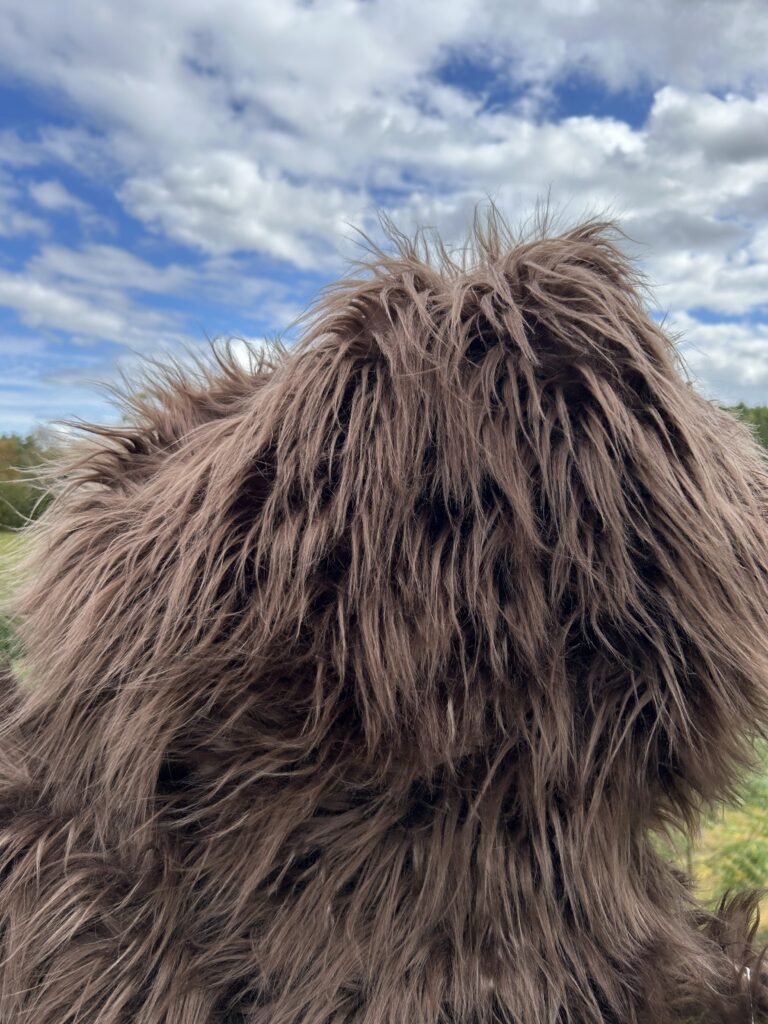 Bigfoot is fuzzy. There might be a face under there, but it's hard to find.