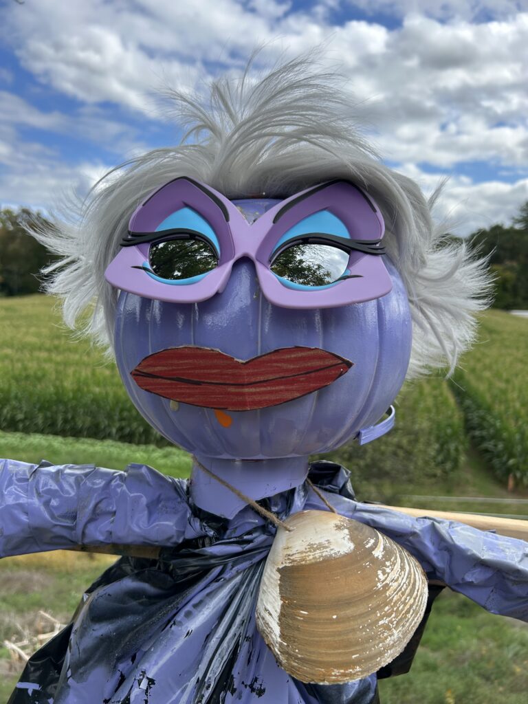 The poor unfortunate soul has a purple pumpkin head large purple and blue eyes, and wears a large shell around her neck.