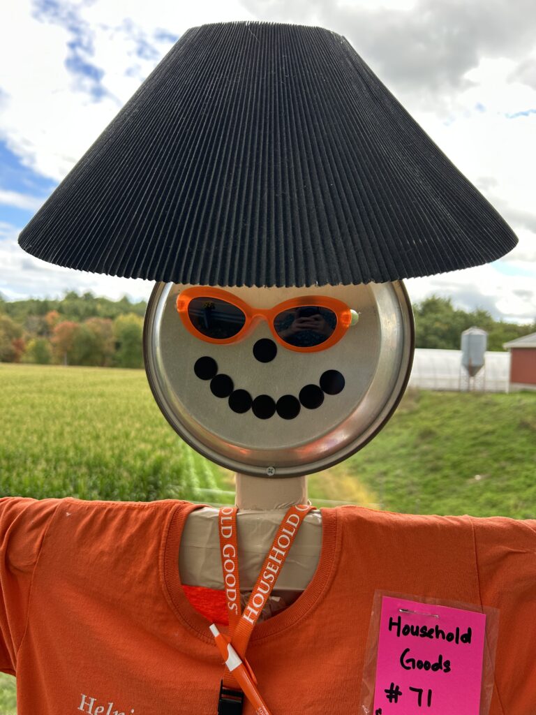 Hugo has a pie plate face and a lampshade head. He is wearing an orange Household Goods t-shirt.