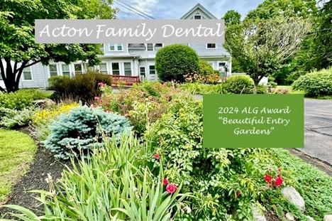 A garden next to a drivway. Grasses, shrubs, and flowers are attractively arranged.