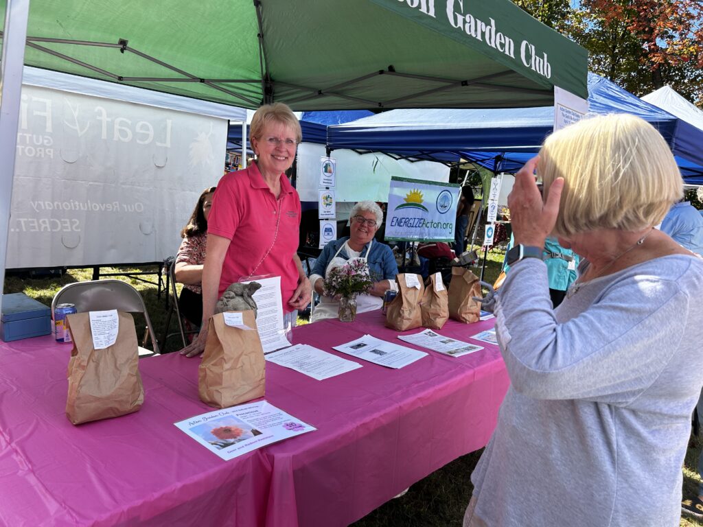 A woman in a pink shirt sells bags of daffodil bulbs at the Acton Garden Club booth.