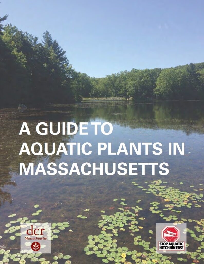 The cover of "A guide to aquatic plants in Massachusetts."