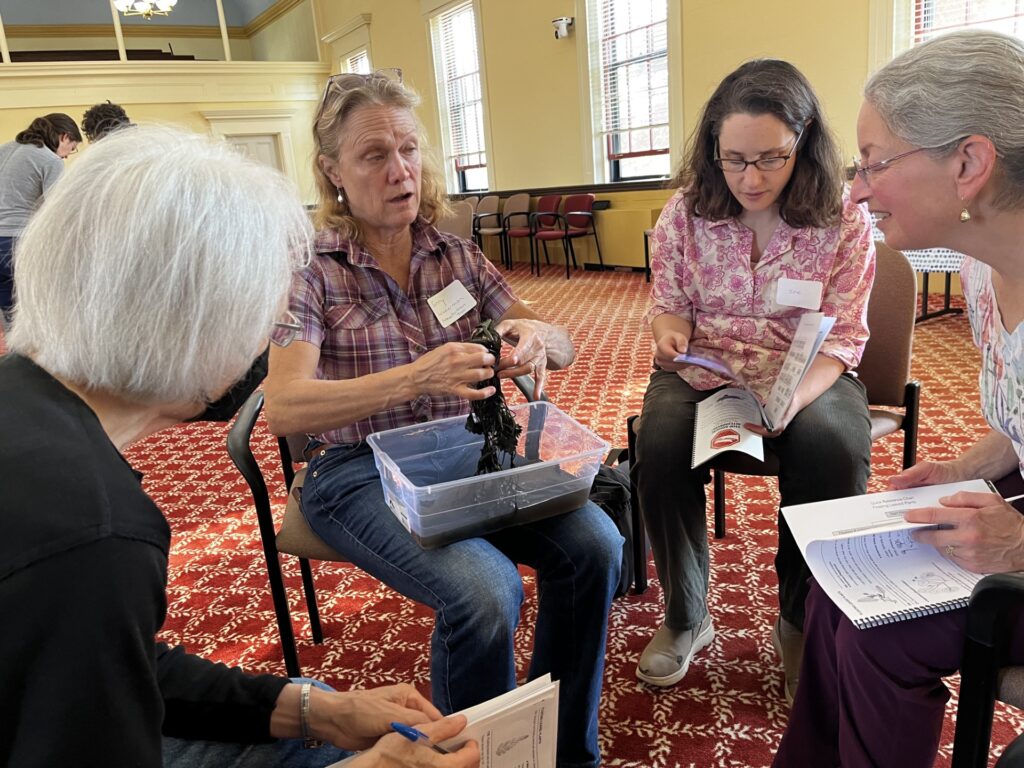 A group of women sit in a circle. One woman has a plastic container in her lap and holds a water chestnut over the box.