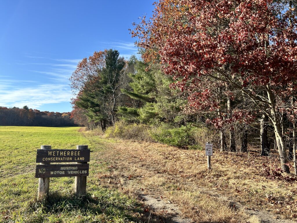 On the left, a large field, in the foreground, a sign at the entrance to the Wetherbee conservation land, and on the right, woods with changing leaves.