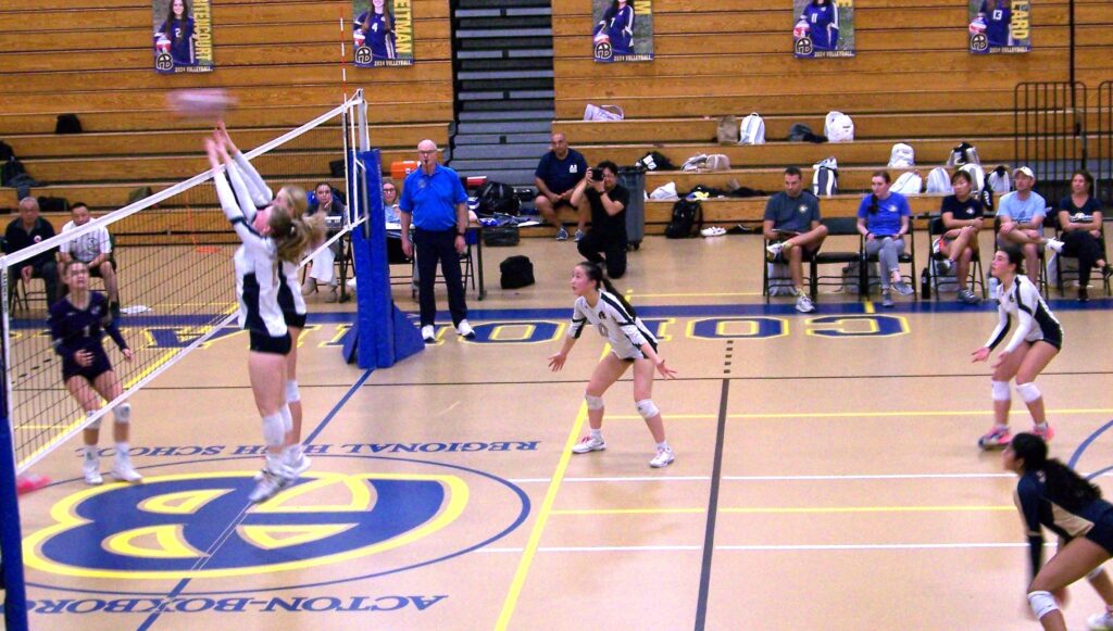 Two women up against the net jump with their arms raised to block a ball.