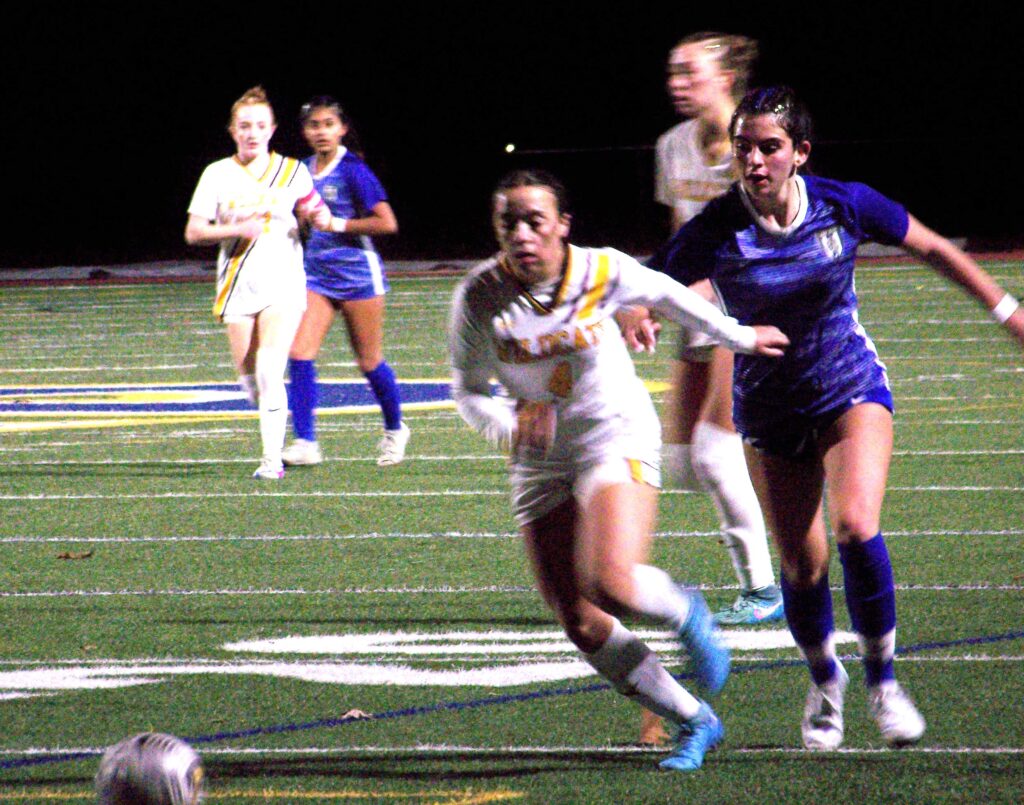 Young women playing soccer. In the foreground, a woman in blue is catching up on a woman in white. The ball is just ahead of them.