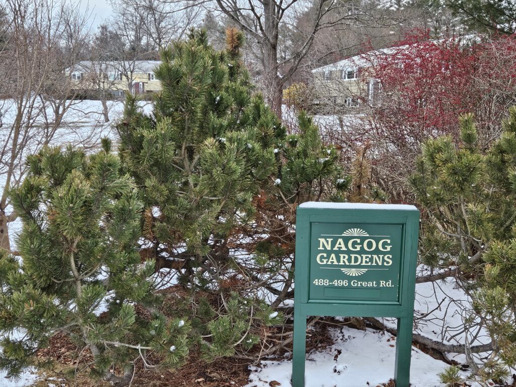 A similar green Nagog Gardens sign in front of the apartments on Great Road.