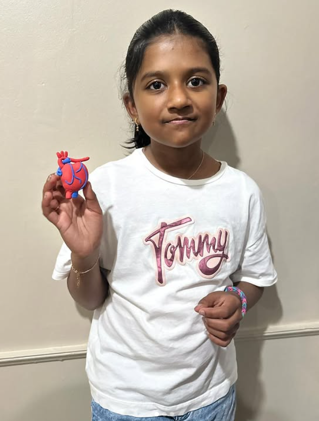 A girl with a ponytail and a white t-shirt holds up a small model of a heart, complete with blue veins.